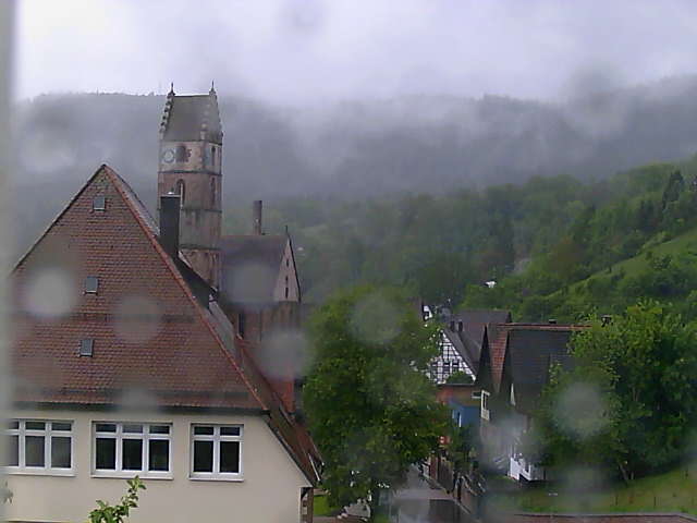 Schwarzwald Webcam Alpirsbach